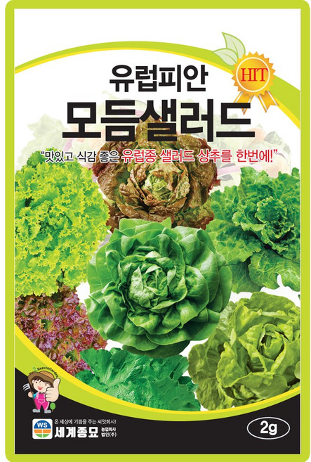 세계종묘 유럽피안모듬샐러드 상추 씨앗 2g 유럽형 고급 샐러드 6종 혼합 상추씨 종자, 1개