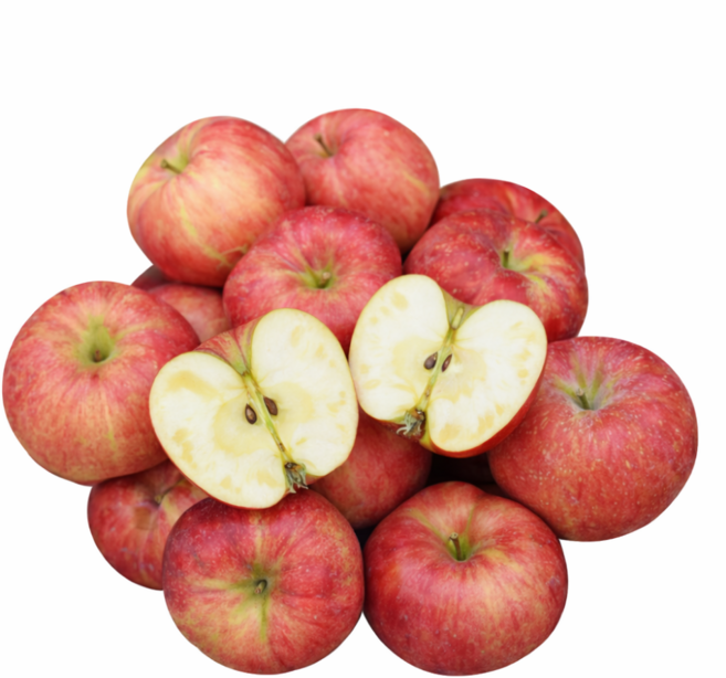 성철이네농장 고당도 청송얼음골 꿀 부사사과, 1박스, 5kg 대과(18과내외)