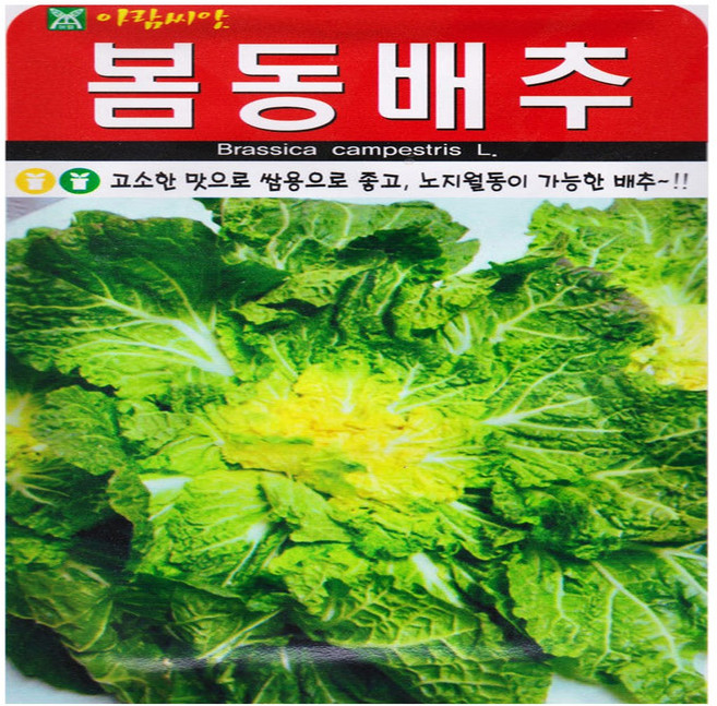 노지월동 가능한 봄동배추 씨앗 5000립 엇갈이 배추씨, 1개