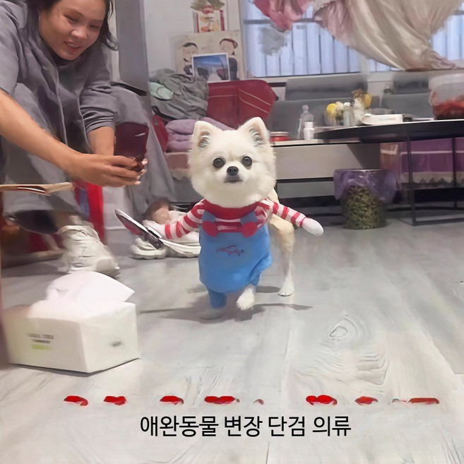강아지처키옷 변장 코스튬 귀여운 편안한 착용감 사진 촬영용 독특한 디자인 인스타 재밌는, 1개, 기타리스트