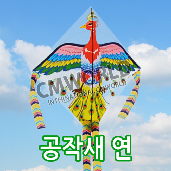 씨엠월드 비닐 공작새연 + 육각얼레 연날리기