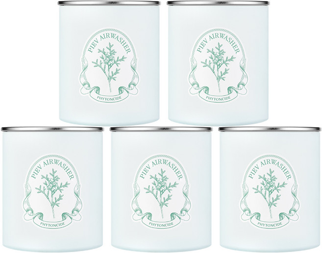 [본사공식몰] 피에브 에어워셔 고체 탈취제 냄새 제거 피톤치드 향, 5개, 250g