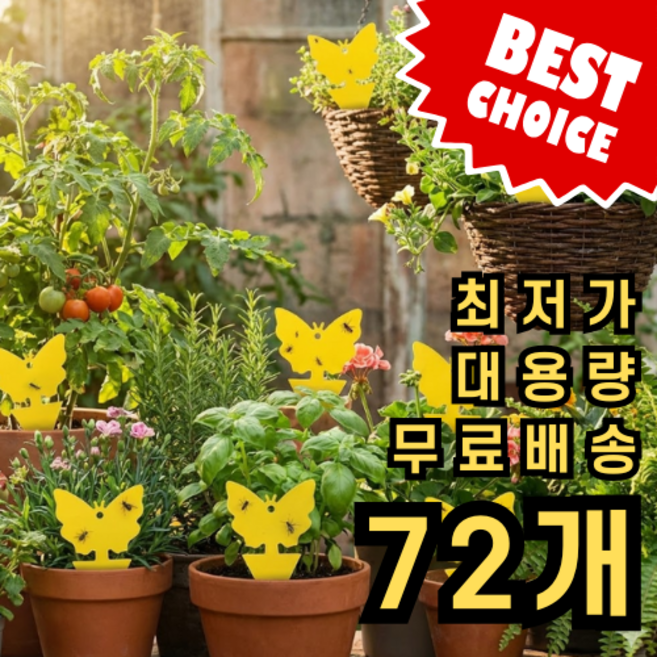 뉴비아 초강력 양면 초파리 날파리 파리 끈끈이 트랩 + 걸이용 철사스트랩, 8g, 72개