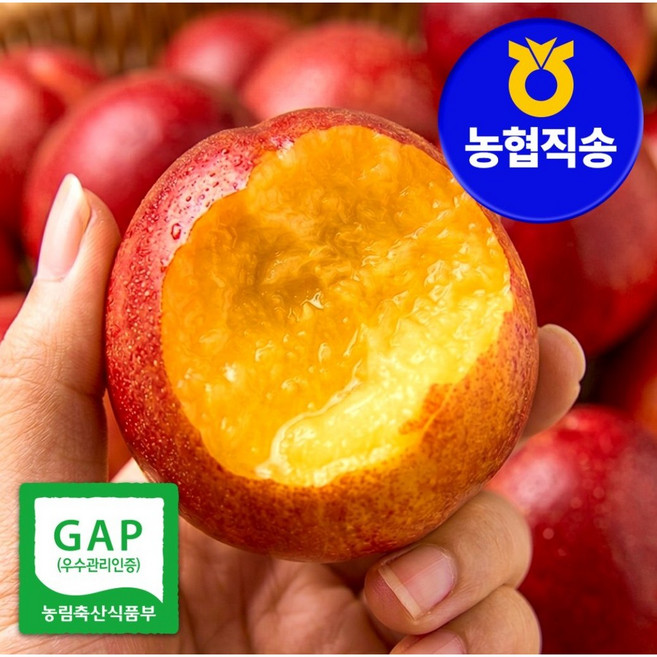 [농협직송 일50박스] 황제 초고당도 신선 대극천 천도 복숭아 GAP 인증, 1개, 2.3kg(황제)
