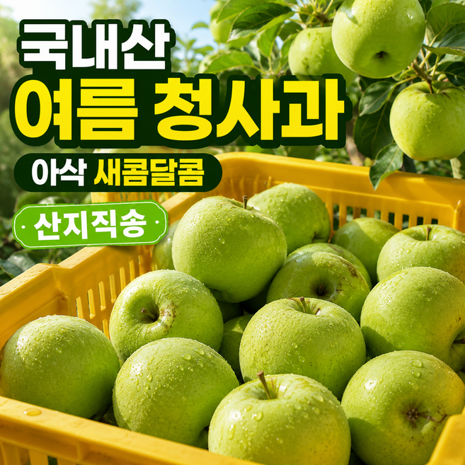 [산지직송] 26년 첫수확 아삭달콤 햇 아오리사과 썸머킹 청사과, 1박스, 2kg
