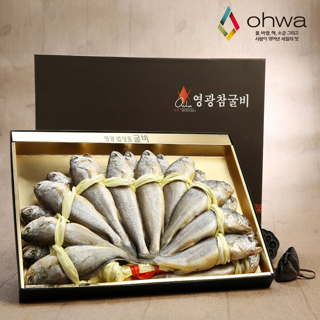 오화 법성포 영광굴비 가정용 참굴비 1.2~2.2kg 이상, 1개, 참굴비4호/20미/1.6kg이상