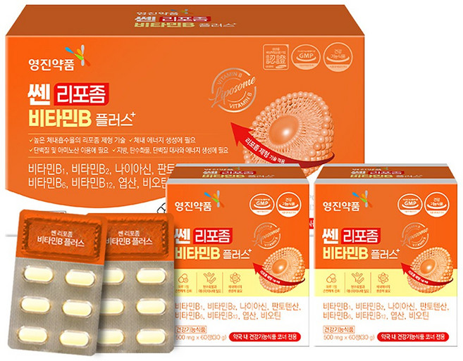 영진약품 쎈 리포좀 비타민B 플러스, 1박스, 120정