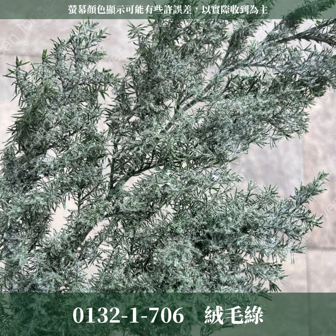 日本大地農園 01321 雪松 永生雪松 ヒムロスギ 日本雪松 乾燥花材 露營裝飾, 1個, 706絨毛綠