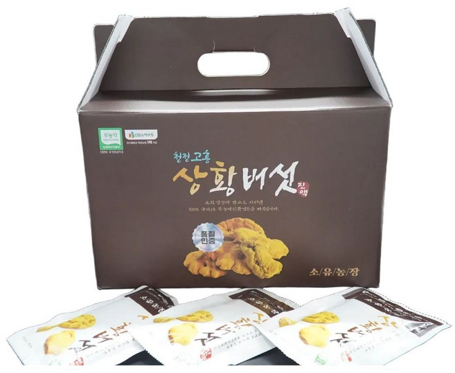 소유농장 무농약 국산상황버섯 진액 GAP인증 상황버섯차 부모님선물 진공/저온 액기스 추출액 45포 1박스, 45개, 100ml