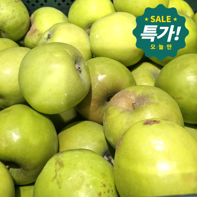 [온라인 판매 1위] 초특가 초고당도 썸머킹 아오리사과 초록사과, 1박스, 가정용 2kg (14과 내/소과)