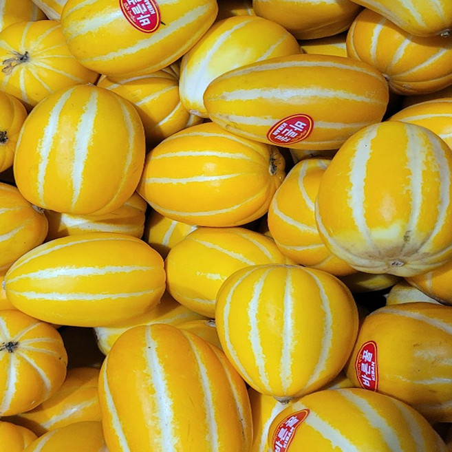 가정용 실속 참외 랜덤과 못난이 참외, 1박스, 10kg