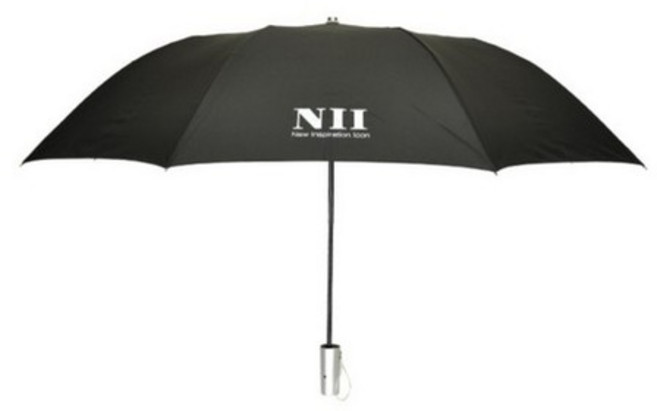 2단 자동우산 블랙 NII