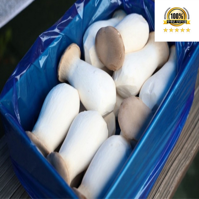 국내산 새송이버섯 프리미엄 특품 새송이버섯, 1개, 특품 새송이버섯2kg