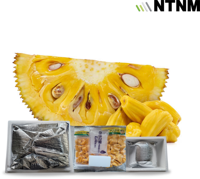 씨없는 냉동 잭프루트 (Seedless frozen jackfruit), 1박스, 5kg (10팩)