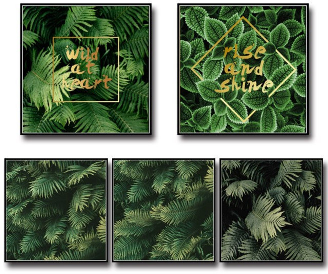 디우컴퍼니 보테니컬 정사각 식물액자(3사이즈), 블랙, 1개