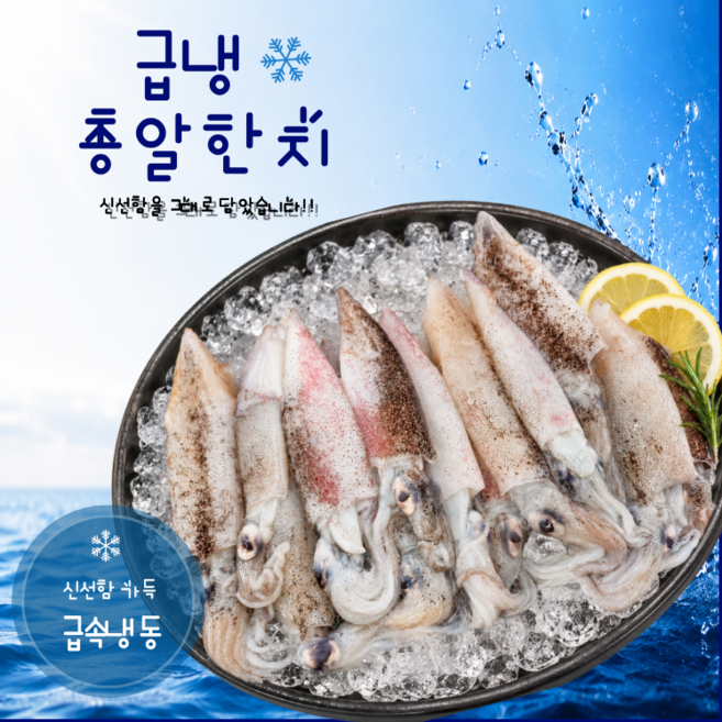 바다해찬 총알한치(급냉) 500g, 1개, 총알한치(급냉)500g