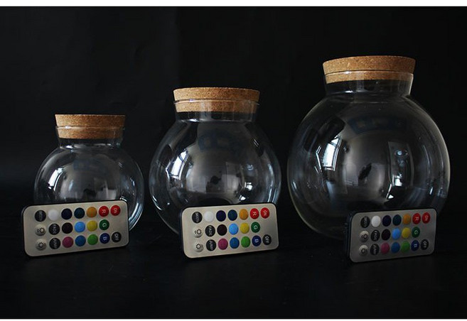 微景小舖 苔蘚微景觀生態瓶 DIY 永生花瓶器 植物造景 木塞瓶, 加購CR2032電池(4顆),15*16 帶燈七彩瓶+遙控器