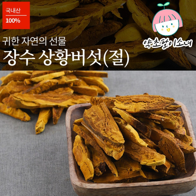 [당일출고] 국산 장수 상황버섯 100g 국내산 장수상황버섯 절편 목질진흙버섯, 1개