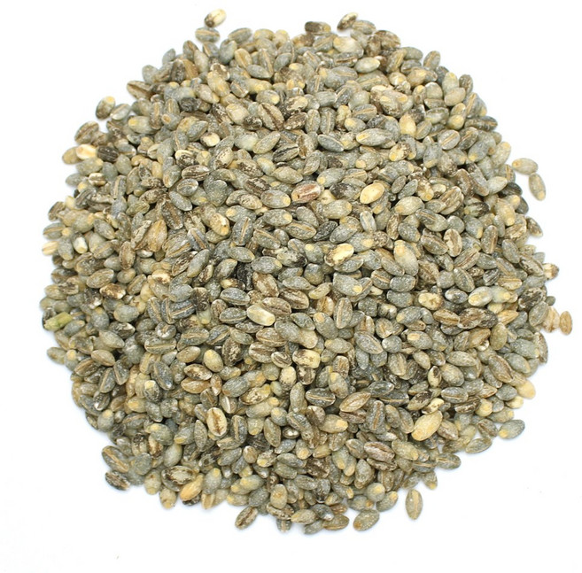 자연초 국산 녹색보리 청보리 1kg, 2개