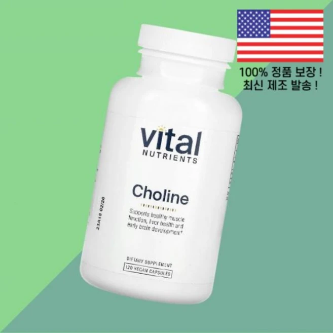 바이탈 뉴트리언츠 콜린 식물성 베지캡슐 120정 275mg Vital Nutrients Choline 120 Vegan Capsules per Capsule - 쿠팡