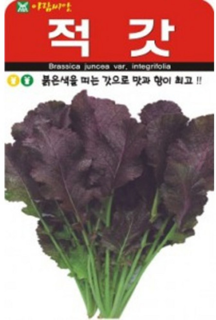 아람종묘 적갓 씨앗, 1개