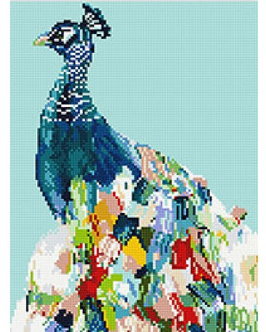 하루클래스 DIY 보석십자수 캔버스형, E53. 공작의 외출, 1개