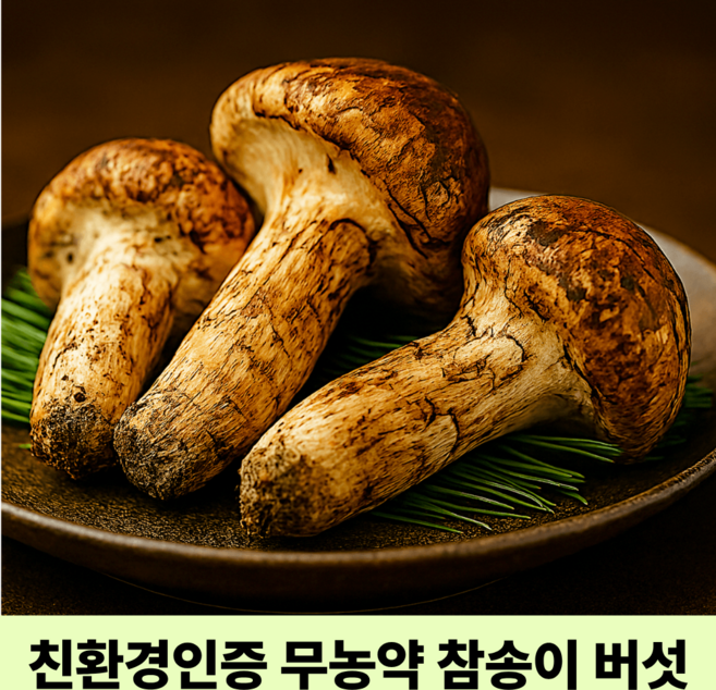 무농약 친환경인증 못난이 국산배지 참송이버섯, 1박스, 500g(못난이)