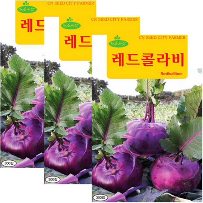 세인화분 레드콜라비씨앗 300립 콜라비씨 레드 콜라비 씨앗, 3개