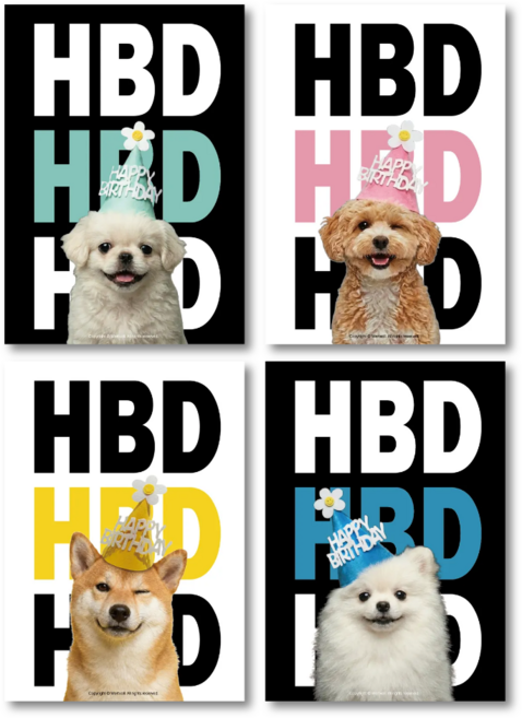 베르트폴 HBD 생일 포스터 세트, 화이트 블랙