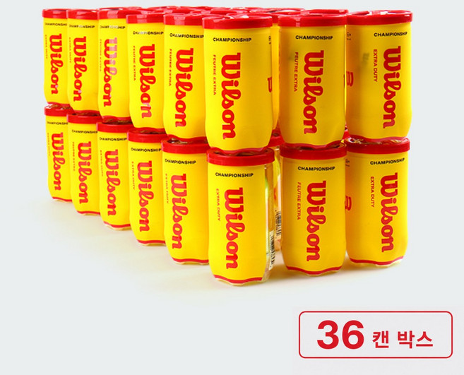 윌슨 챔피언쉽 시합구 (BOX) 36캔 시합용 테니스공 박스, 옐로우, 36개