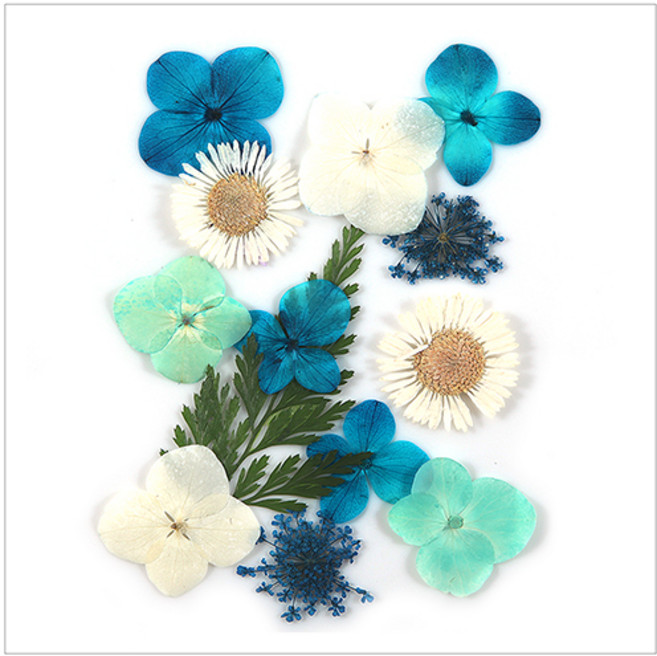 압화 공예 압화종합팩 K124 DIY 만들기 레진 아트 재료