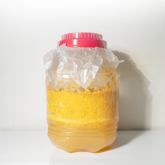 2025 햇 전북 고창 포포나무 열매 청, 1개, 포포나무열매청 6kg