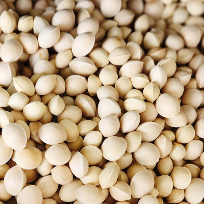 25년 햇 피은행 개량종, 2kg, 1개