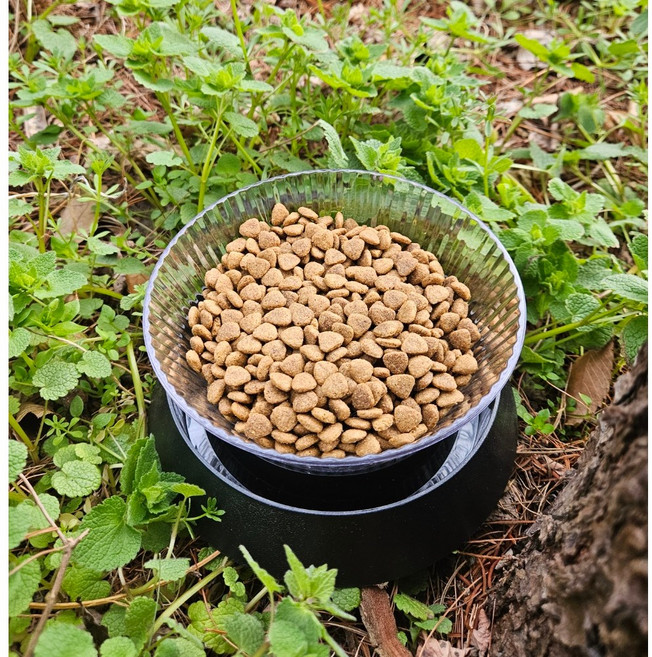 길고양이 개미방지밥그릇, 1개, 투명