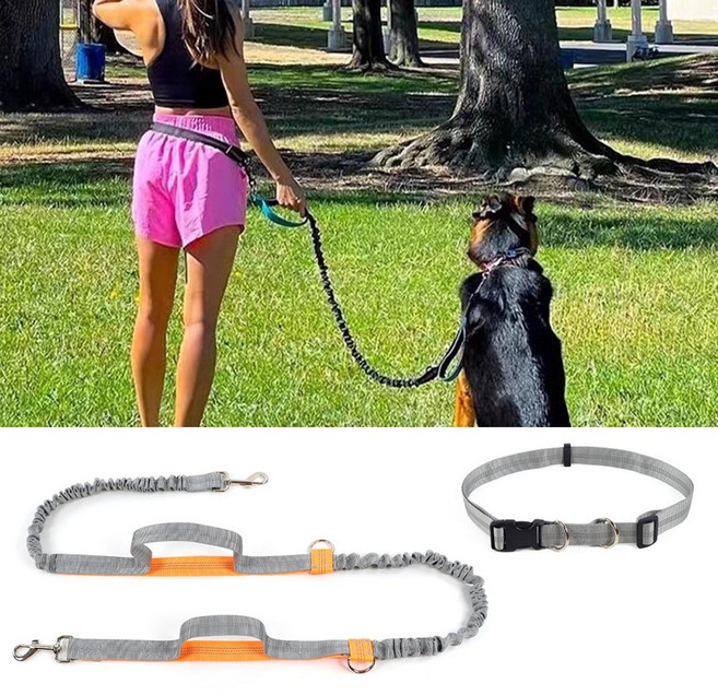 예삐스토어 핸즈프리 강아지 허리 목줄 리드줄 허리벨트 조깅 러닝 대형견 산책줄, 오렌지, 1개