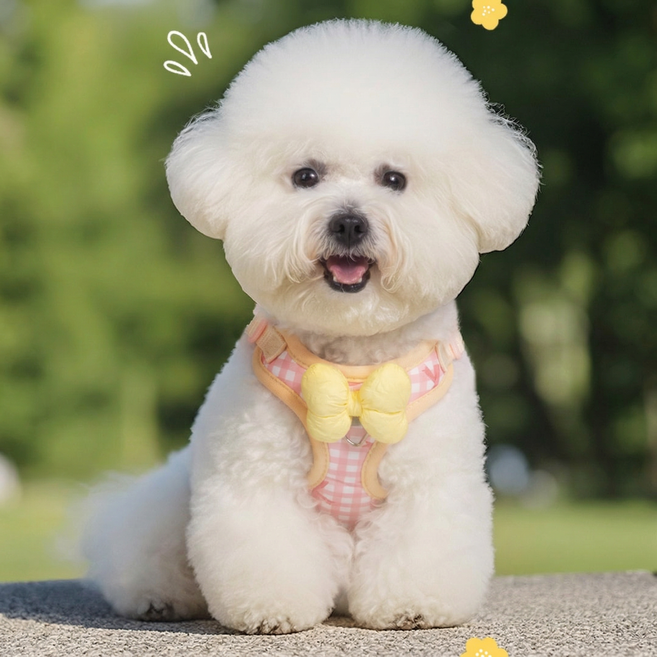 소형견 통기성 하네스 목줄 세트 방풀벙 방지 야외산책용, 1개, 핑크색