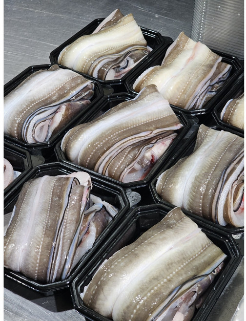 최상급 통영 자연산 손질 바다장어 붕장어 아나고, 1개, 중사이즈 1kg(4~6미)
