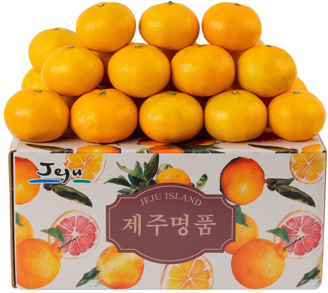 귤부심 타이벡조생감귤 고당도 제주산지직송, 1박스, 혼합 10kg(실중량 9kg)
