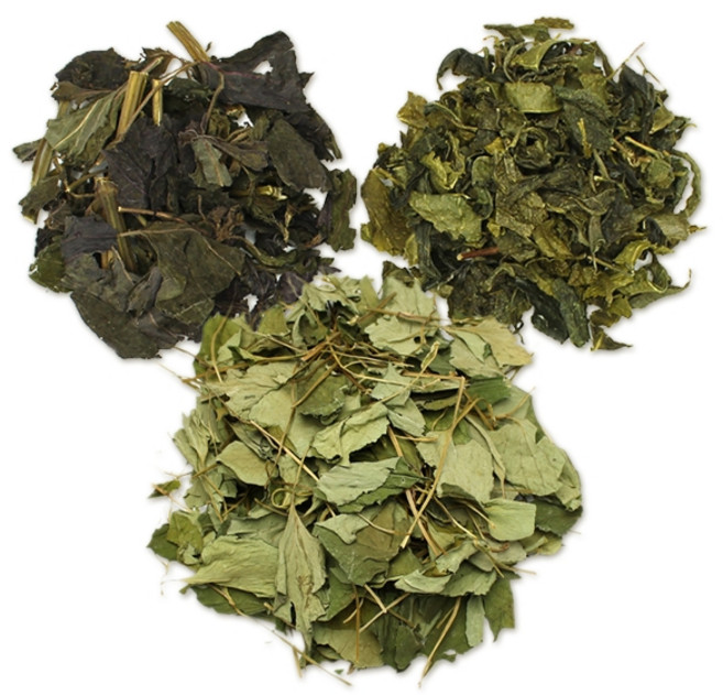 자연초 [자연초] 국산 어성초200g+녹차100g+자소엽100g 어자녹차