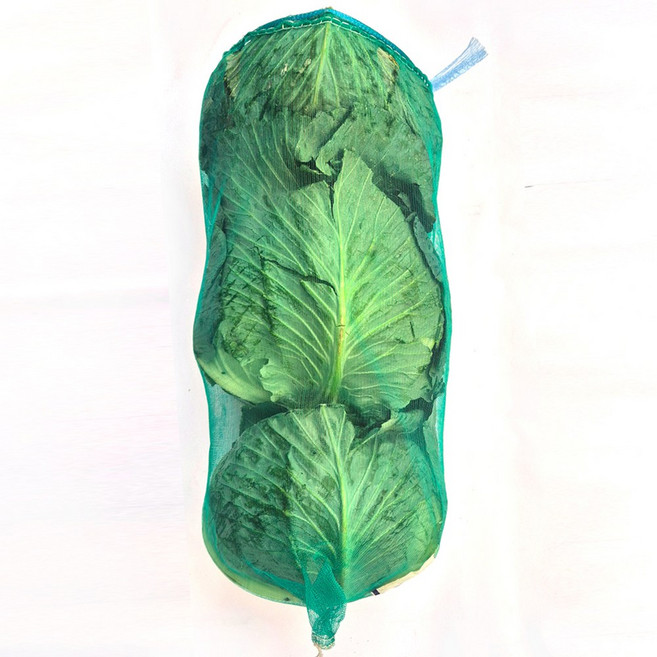 클릭마켓 국내산 양배추 8kg내외, 1개, 8kg