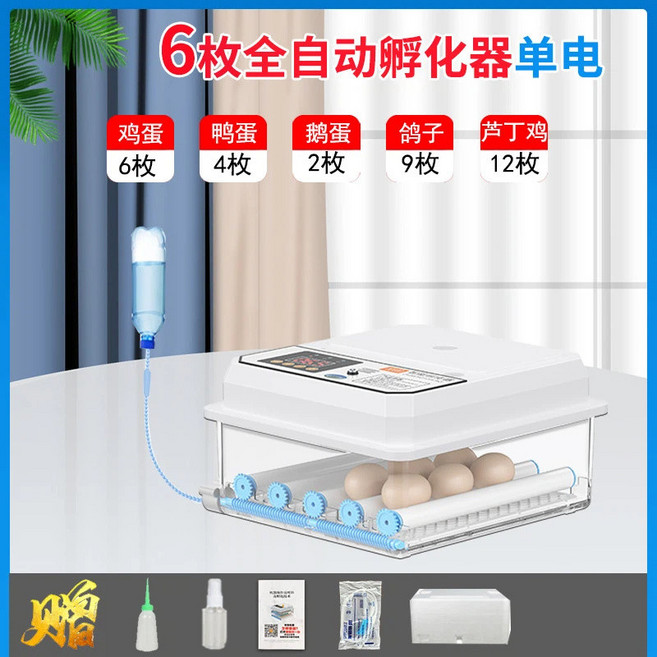 全自動智能孵化器 家用 溫控 濕控 翻蛋 孵蛋器, 6枚單電【溫度顯示】