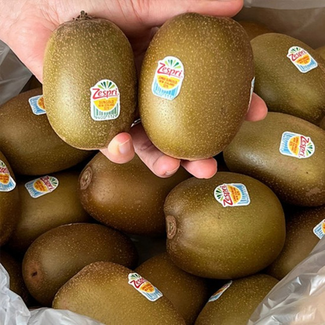 뉴질랜드 제스프리 골드키위 왕특 38-41과, 1개, 상세 설명 참조