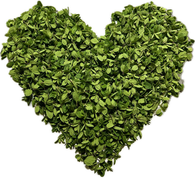 유기농 애플민트 데코용 작은잎, 1개, 30g, 30g