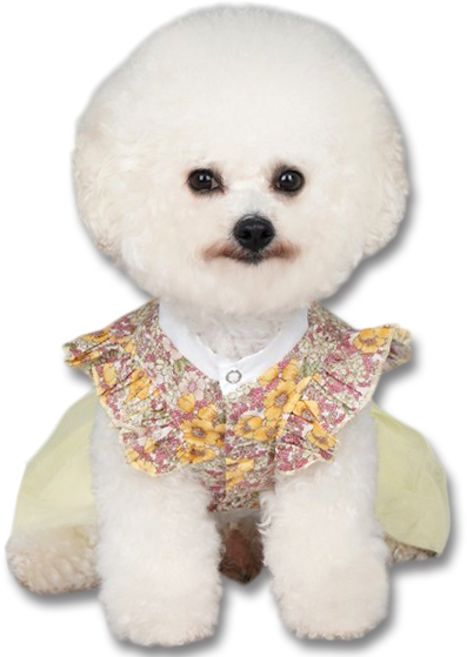 바이담수미 강아지옷 튜튜 한복 치마, 옐로우, 1개