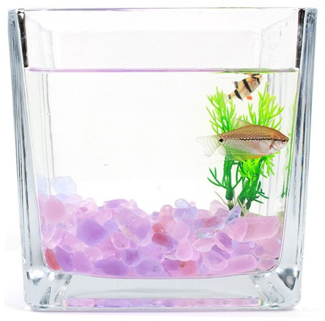 수족관 유리 자갈 수정 돌 어항꾸미기 바닥 데코 핑크 퍼플 믹스돌 무독성, 핑크믹스자갈, 1개