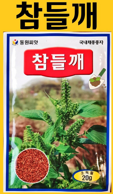 농사친구 참들깨 씨앗 20g 동원 씨 종자 쪽파 고사리 명이나물 산상추 초당옥수수 항암배추 담배 산마늘 아스파라거스 고수, 1개