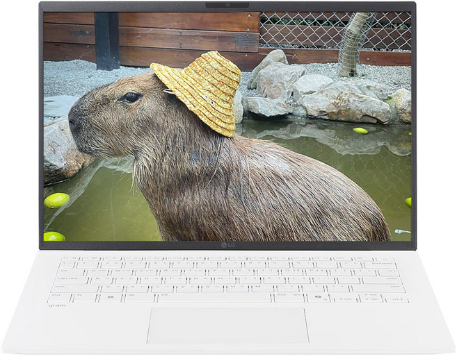 LG전자 2025 그램 AI 14 WUXGA 코어Ultra5 애로우레이크, 에센스화이트, 256GB, 16GB, WIN11 Home, 14Z90T-GA5CK