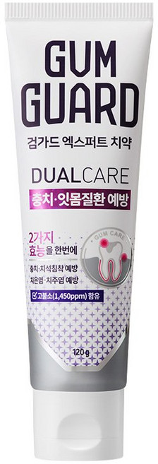 검가드 엑스퍼트 치약, 120g, 1개