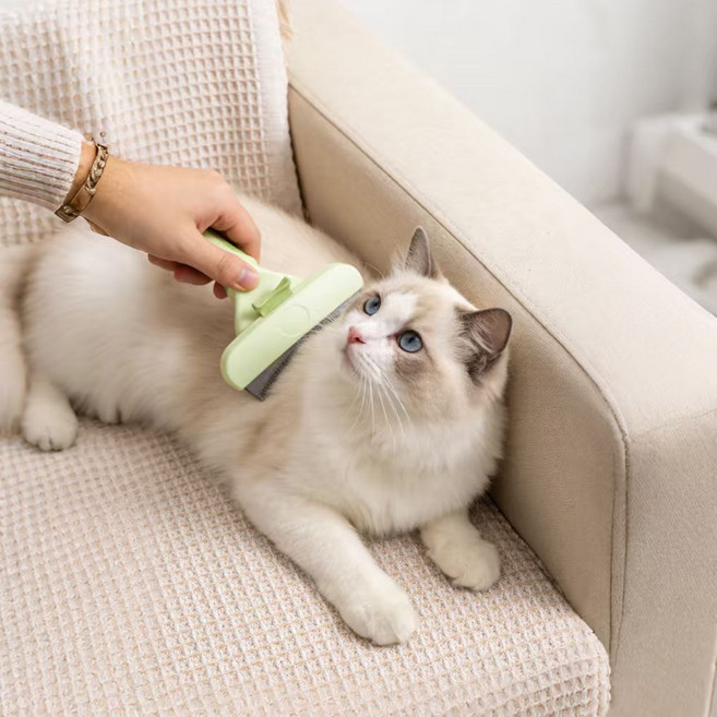 반려동물 원터치 클린 그루밍 탈포 브러쉬 털제거기, 1개, 초록