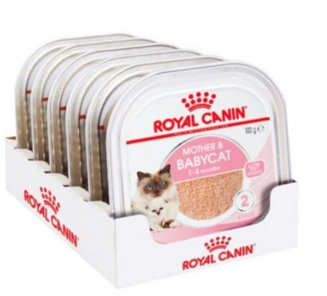 생후 1개월 2개월 이상 아기고양이 새끼고양이 이유식 습식 사료, 닭+오리, 100g, 12개